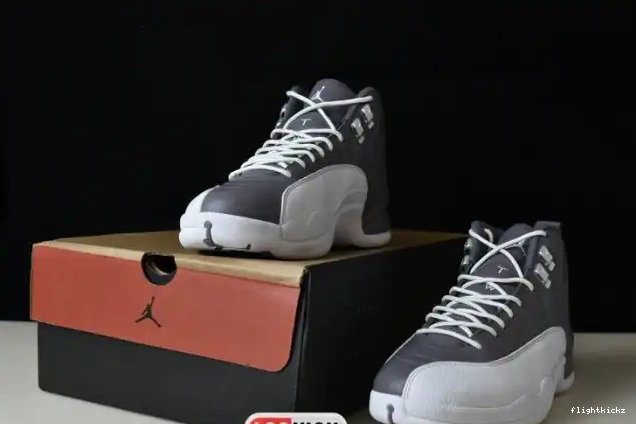 JORDAN STEALTH 12 AIR CT8025-610 0706